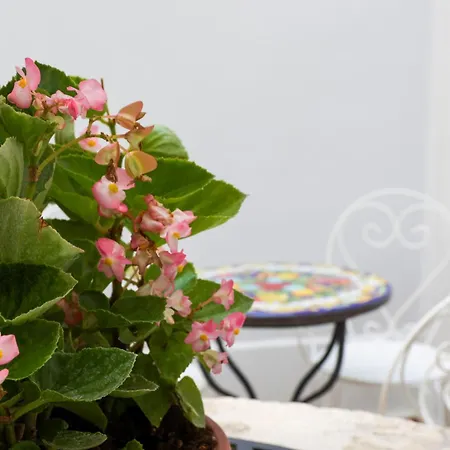 Oslavia Domus Appartement Pianella (Pescara)